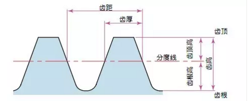 齒輪齒高和齒厚 齒輪齒高和齒厚