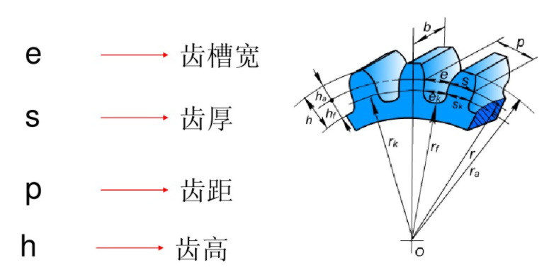 齒輪齒槽寬等其它參數(shù)說明 齒輪齒槽寬等其它參數(shù)說明